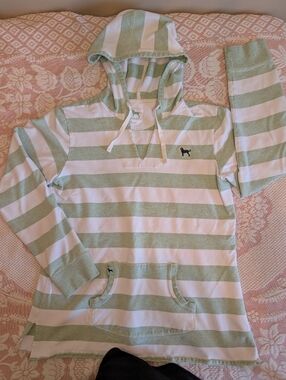 The Black Dog Striped Hoodie in Mint Green and White